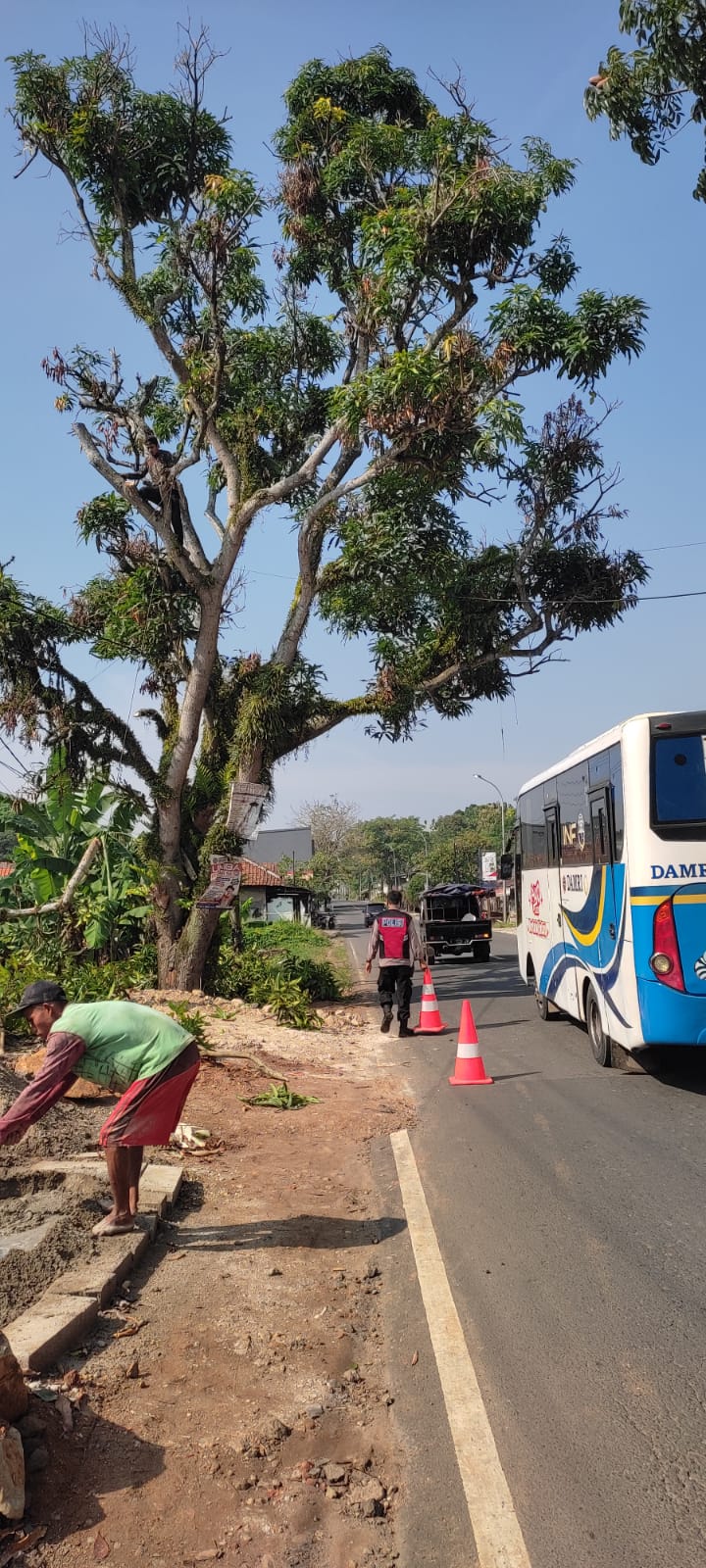Anggota Polsek Baros Membantu Pengamanan Dan Pengaturan Lalin Penebangan Pohon Oleh Masyarakat