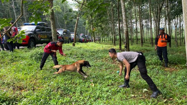 K9 Polda Jateng Asah Kemampuan di Salatiga: Deteksi Jenazah Makin Akurat dan Cepat