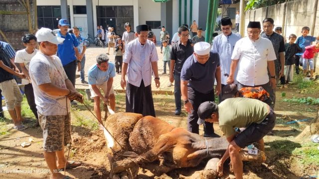 Idul Adha 1447 H, Wujud Kebersamaan dan Keberkahan, KONI Banten Berbagi Hewan Qurban