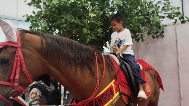 Edukasi dan Aksi K-9 Serta Turangga Pukau Pengunjung PetFest 2026 di ICE BSD
