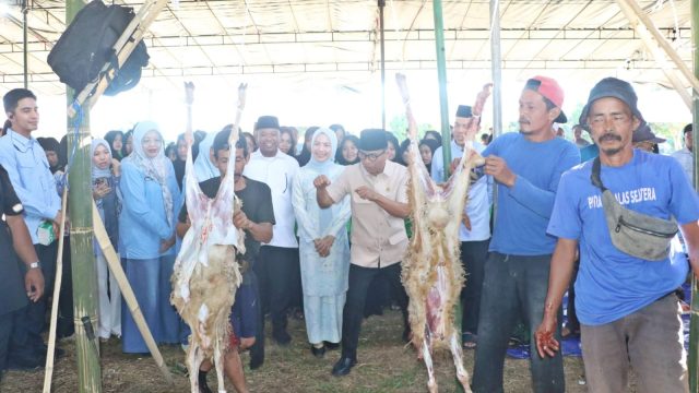Sembelih Hewan Kurban 1.000 Domba, Bupati Serang Sebut jadi Pilot Project di Indonesia
