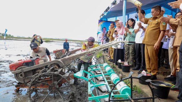 Provinsi Banten Tembus Delapan Besar Lumbung Beras Nasional, Andra Soni Soroti Ketahanan Pangan