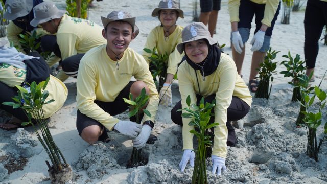 Bukan Sekadar Migas, PHI Turun Langsung Rehabilitasi Ekosistem Pesisir di Pulau Pari