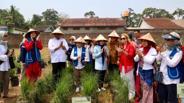 Kabupaten Serang jadi Pilot Project Kampung Holtikultura Gerakan Perempuan Pangan IWAPI